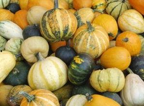 爱可可吃瓜视,带你领略娱乐圈幕后风云