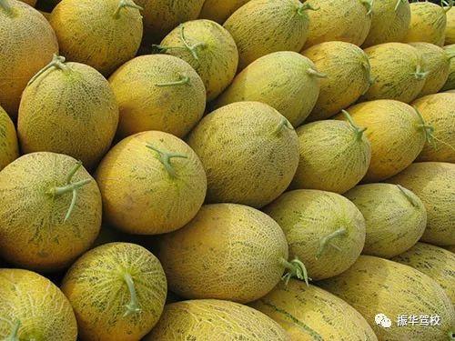 吃鸡肉吃哈密瓜,营养美味两不误的饮食新主张