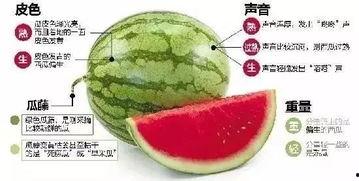 微信名字关于吃瓜,揭秘微信吃瓜群里的那些事儿