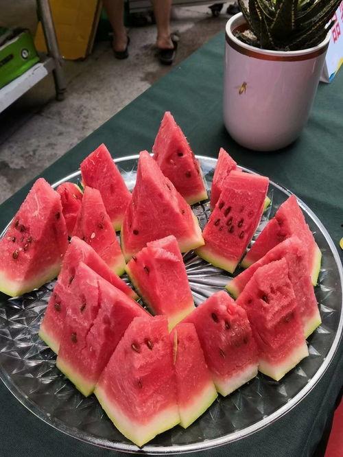 吃瓜高手视频大全,视频大全中的趣味与智慧