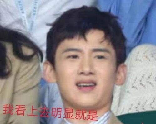 刘涛白敬亭吃瓜,揭秘娱乐圈幕后故事