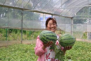 大丰吃瓜事件人物,揭秘背后人物众生相