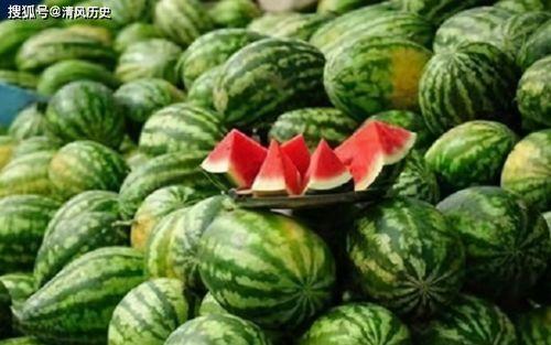 希月吃瓜完整,揭秘娱乐圈幕后真相，带你领略明星生活的另一面