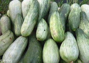 吃狗肉可以吃酥瓜吗,探寻饮食搭配的奥秘