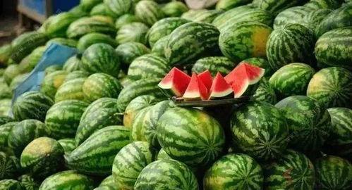 给父母吃瓜,给父母带来欢乐的吃瓜体验