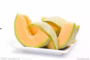 老鼠吃哈密瓜图片,哈密瓜美食时光