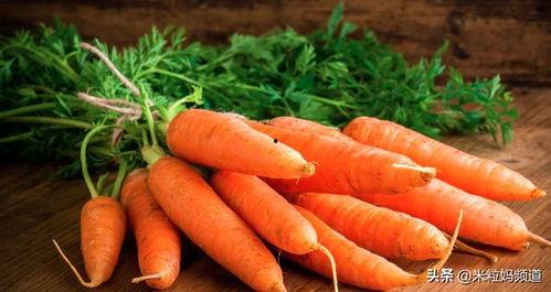 河口胡萝卜吃瓜,探寻特色农业新篇章