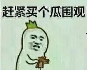 吃瓜群众2109,揭秘网络热议背后的真相与笑料