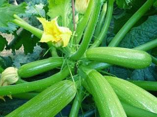 大明子吃瓜小号,揭秘娱乐圈幕后故事