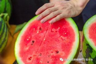 各个大学吃瓜,揭秘各大校园的“吃瓜”盛事