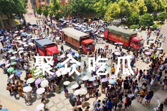 建筑大学吃瓜,揭秘校园吃瓜背后的故事