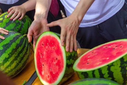 建筑大学吃瓜,揭秘校园吃瓜背后的故事