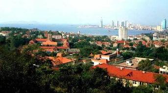 建筑大学吃瓜,揭秘校园吃瓜背后的故事