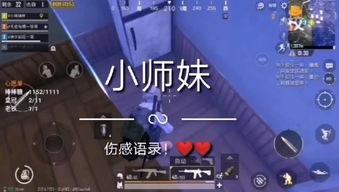 快手小瓜吃鸡,趣味横生的直播盛宴