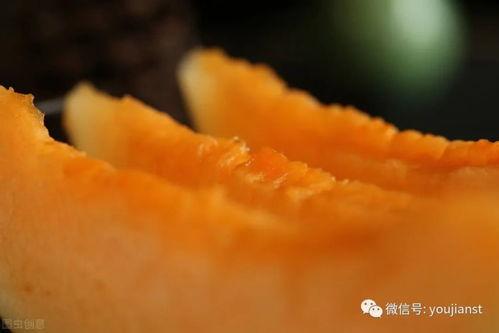 每天都要认真吃瓜,追踪热点，细嚼慢咽