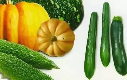 卖瓜吃瓜现场视频大全播放