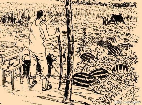 民间故事吃瓜视频,民间故事里的神秘吃瓜之旅