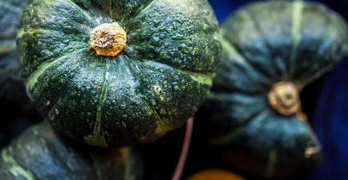 吃瓜吃的就是个口感,揭秘吃瓜的极致享受