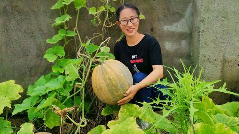 清徐吴村吃瓜,夏日炎炎，瓜香四溢的乡村美食之旅