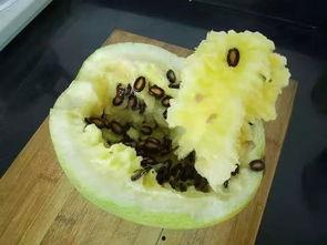 幼儿吃籽瓜文案,籽瓜营养新食尚