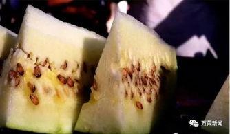 吃三白瓜拉肚子,揭秘夏日消暑美食的潜在风险
