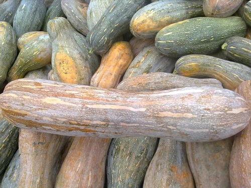 什么瓜外皮可以吃,哪些瓜类的外皮竟然可以食用