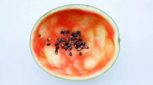 用勺子吃瓜行吗,夏日消暑新风尚