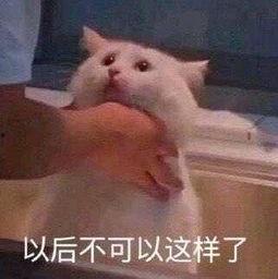 朝阳群众吃瓜名场面,揭秘京城街头的热闹一幕