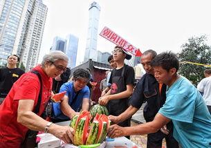 朝阳群众吃瓜名场面,揭秘京城街头的热闹一幕