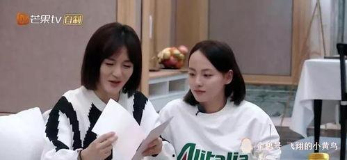 曾老师深度吃瓜,揭秘娱乐圈幕后真相