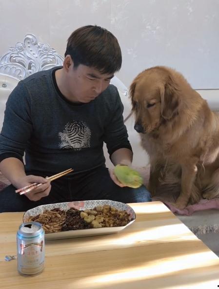 和主人吃瓜系统,趣味互动，畅享欢乐时光