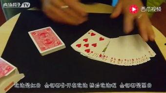 吃瓜打扑克视频,趣味视频带你体验打扑克乐趣