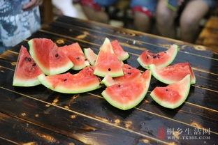 桐乡最新吃瓜,揭秘幕后真相，带你领略网络舆论风云