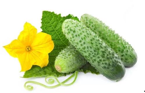 吃瓜系统唐青雪