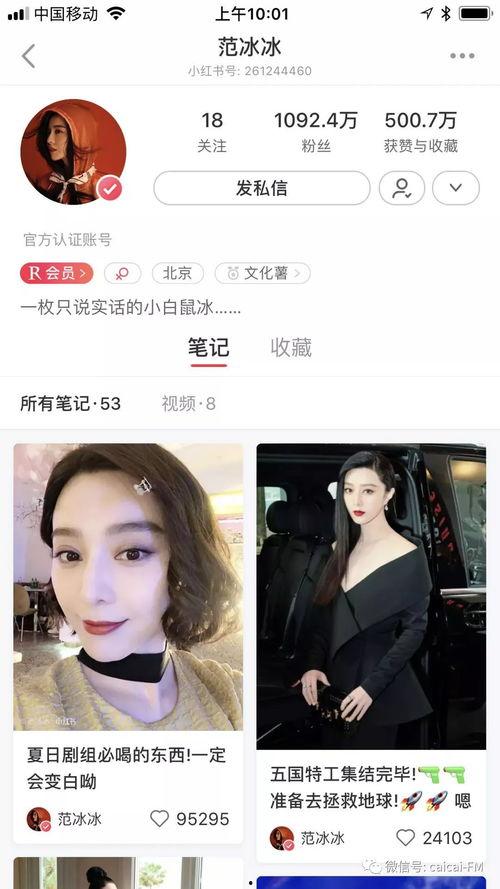 日常吃瓜的小说,揭开小说世界的神秘面纱