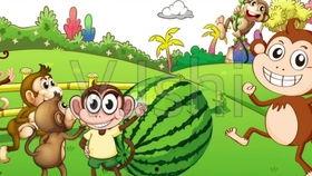 一千只猴子吃瓜,一场猴界美食盛宴的奇幻之旅