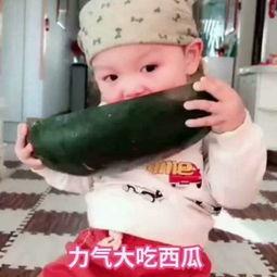 吃小瓜的小孩视频,小瓜视频里的欢乐时光