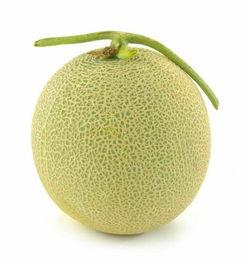 我太喜欢吃哈密瓜了翻译,我的甜蜜诱惑之旅