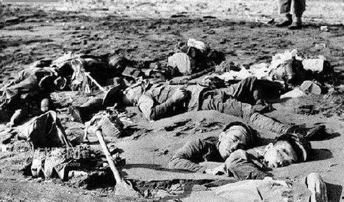 沂南吃瓜事件始末,一场网络热议背后的真相与反思