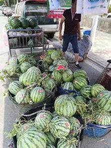 徐州丰县吃瓜事件,揭秘背后真相与争议