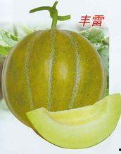 丰雷瓜怎么吃,解锁美味新体验