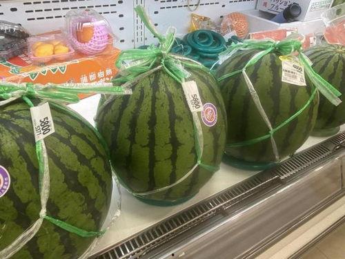 最近都在吃瓜,揭秘明星们的幕后故事