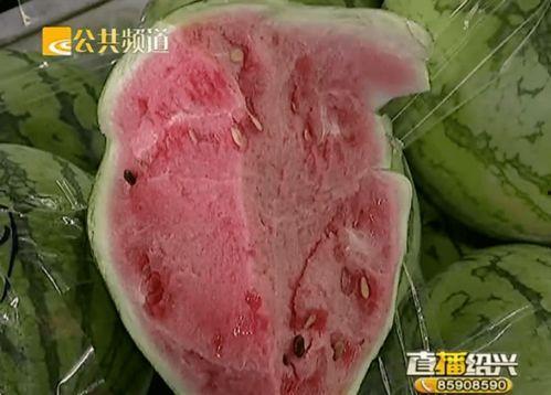 绍兴吃瓜,探寻古城的夏日美味传奇