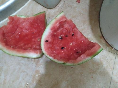 新疆免费吃瓜不收费,免费吃瓜，夏日清凉共享之旅