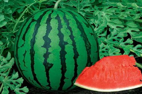 当红小花吃瓜有料,揭秘娱乐圈幕后故事