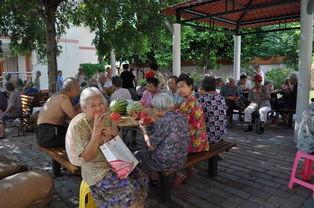 凉亭最新吃瓜视频,揭秘娱乐圈幕后真相