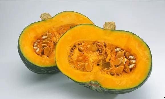 南瓜吃瓜的视频,趣味横生的田园奇遇记