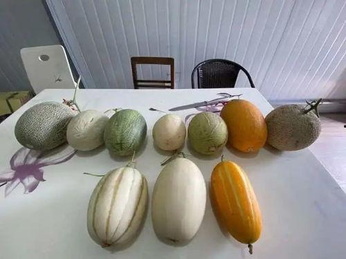 杭麻吃瓜,揭秘网红美食背后的故事