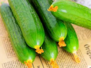 栗瓜适合孕妇吃吗早期吃,栗瓜的营养益处与适宜食用指南