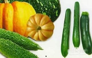 什么是吃瓜文,娱乐八卦背后的真相与趣味